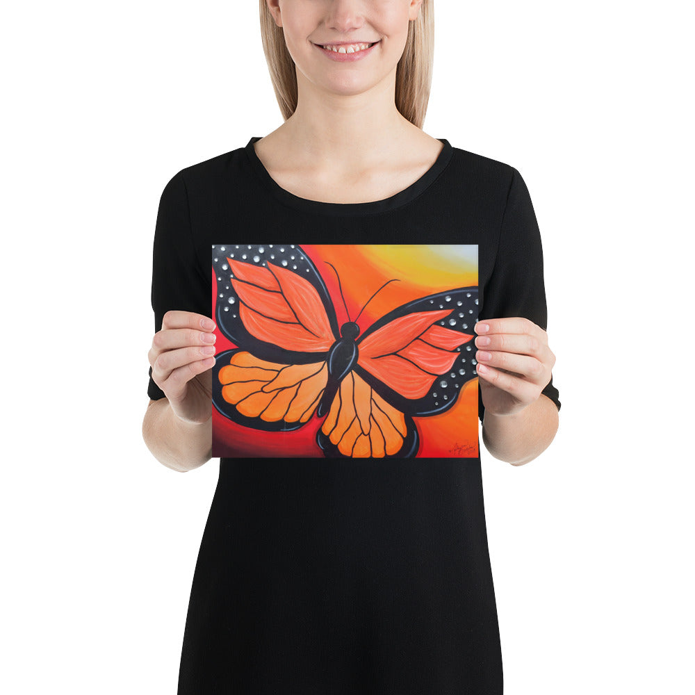 8"x10" Monarch Emerges (Photo Paper Poster)